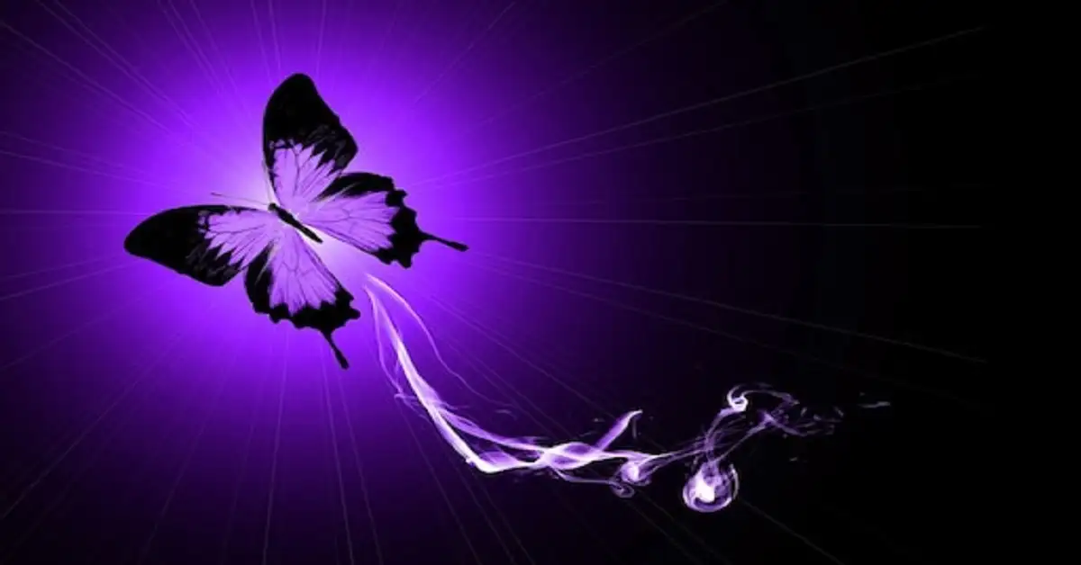 The Enigmatic Beauty of the Purple Butterfly