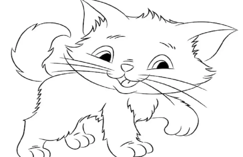 drawing:a4z_-ymtkr8= cat pictures