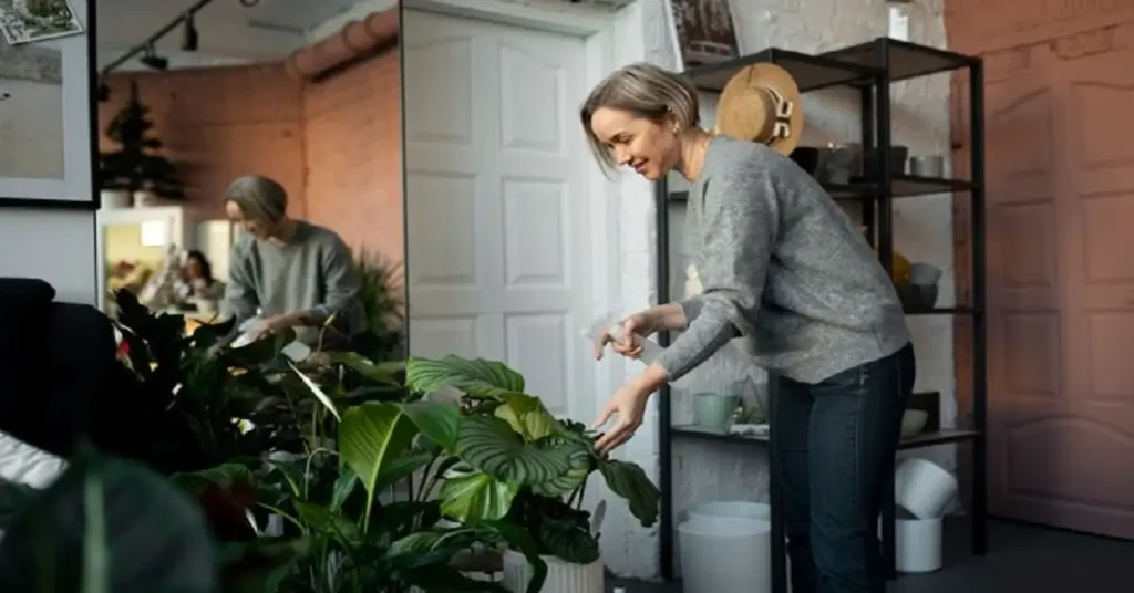 http://abetterwayinhomecare.com